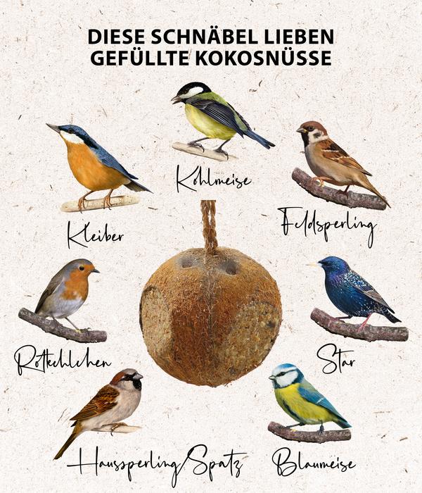 Dehner Natura Premium Wildvogel Kokosnuss mit