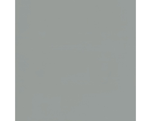 HORNBACH Roestbeschermingsprimer Grijs 375 ml