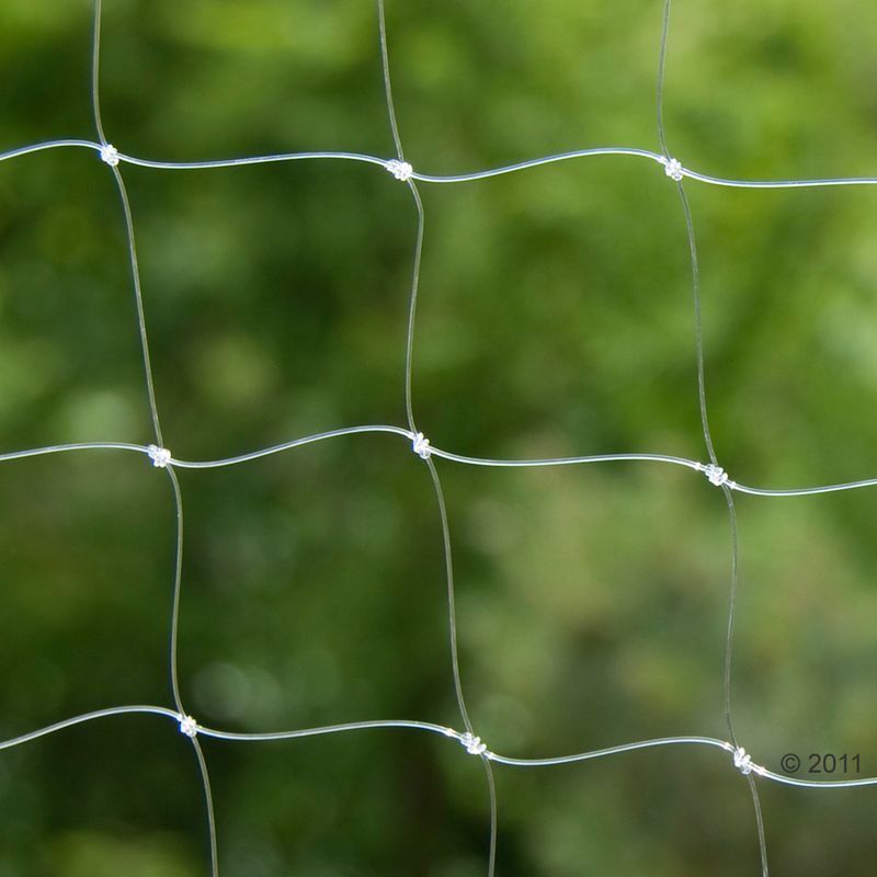 Filet de protection, transparent, 2 x 3 m