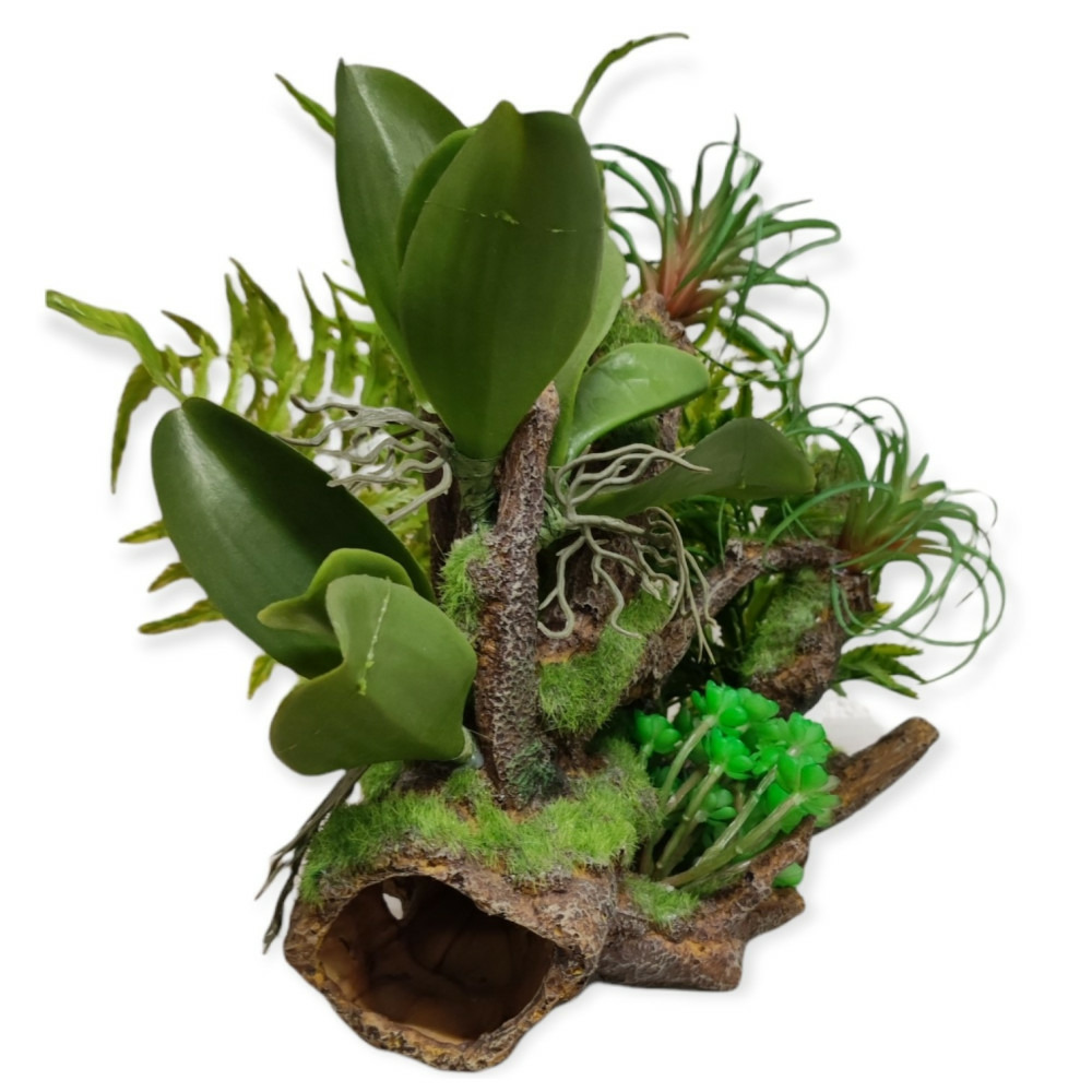 Racine et plantes, 36 x 31 x 33 cm, décoration aquarium.