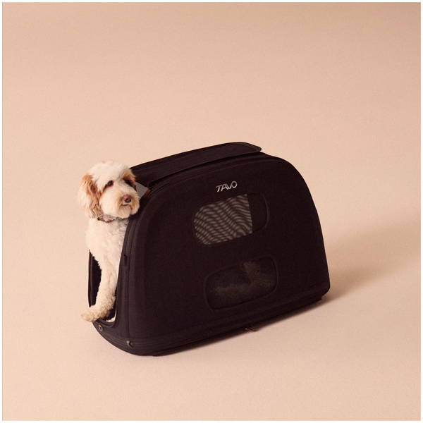 Tavo PetsTavo Pets   Crispin Transportbox onyx Large