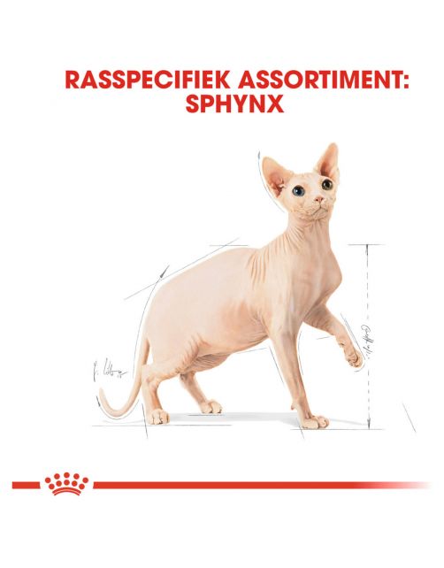 Royal Canin Sphynx Adult - Kattenvoer