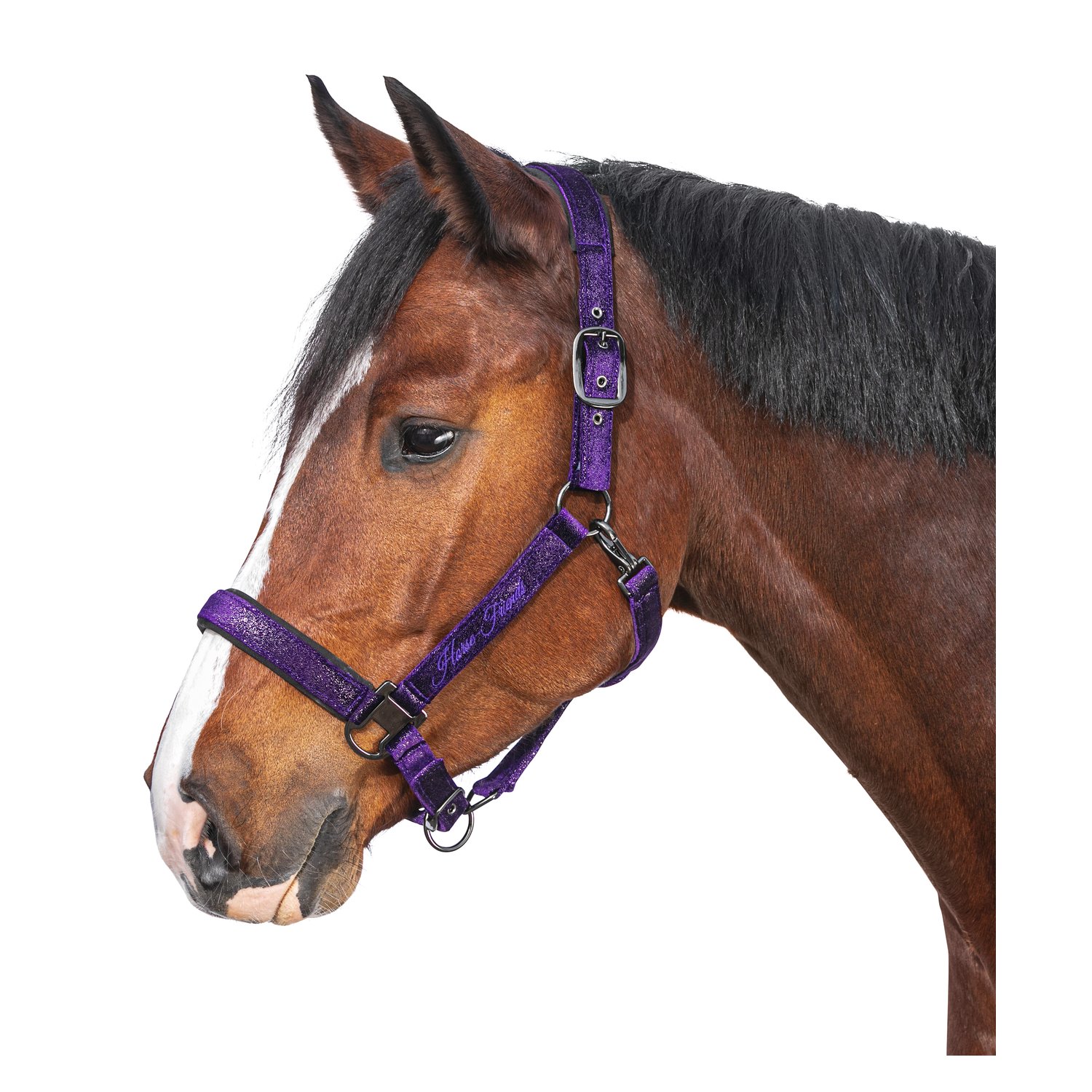 Horse-friends Halfter Athina  - lila