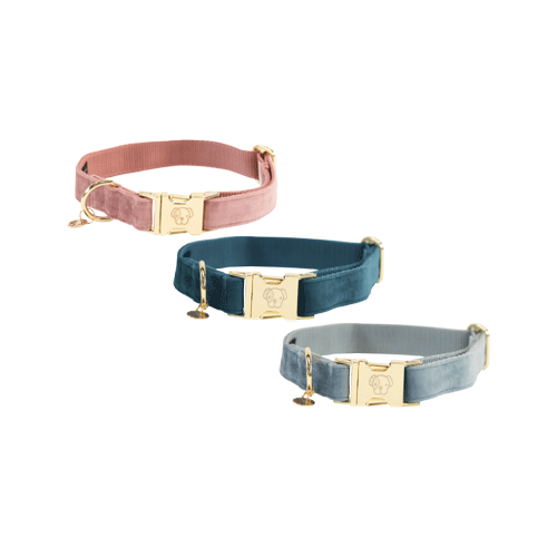 Kentucky Dogwear Velvet Hondenhalsband