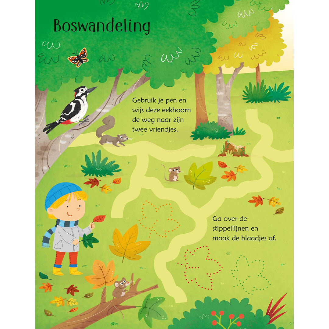 Uitgeverij usborne uitwisboek natuurspelletjes