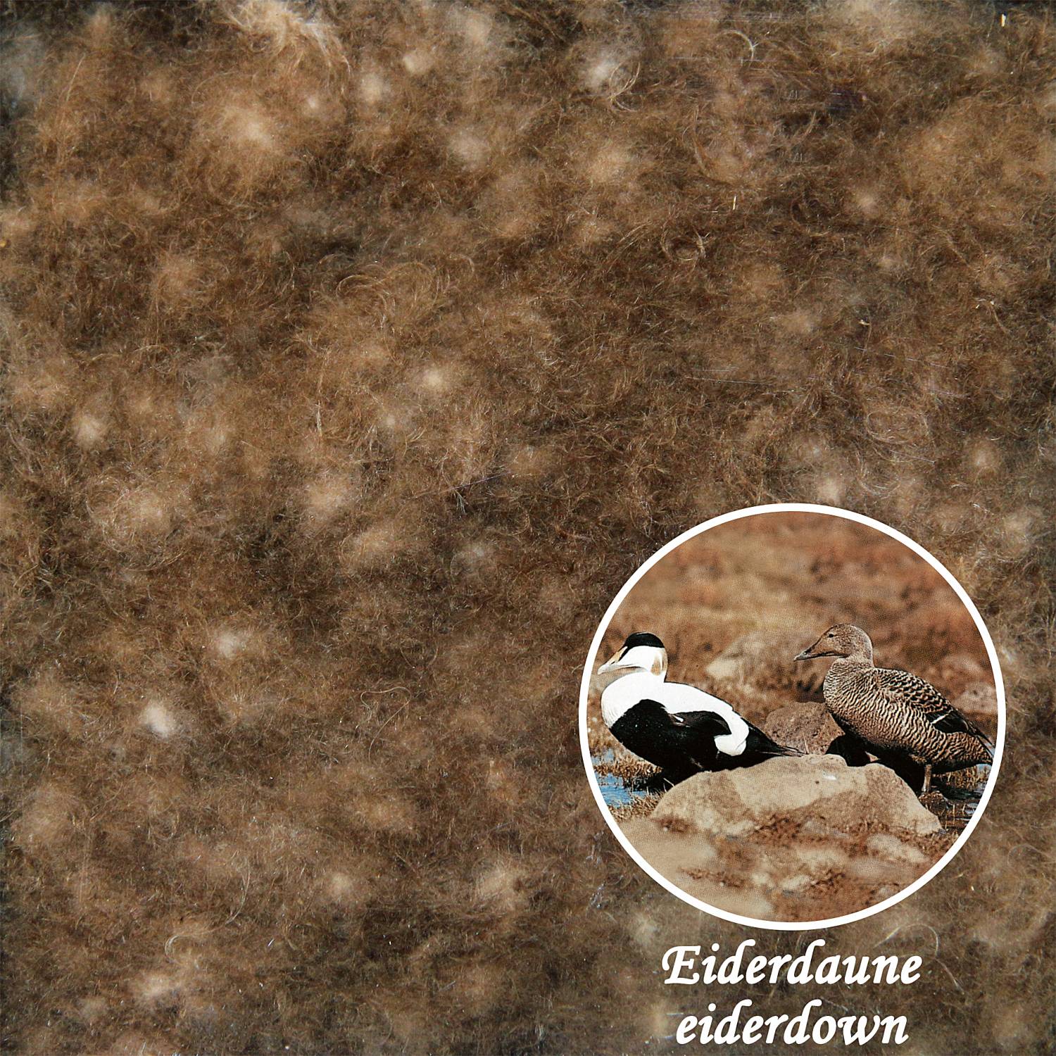 Erwin Müller Eiderdaunen Einziehdecke 