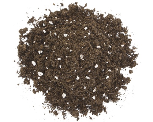 Vleesetende Plant Bodem Floragard 3 L