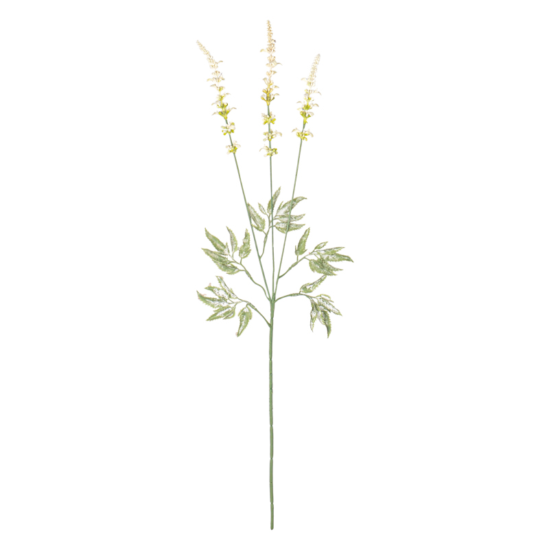 Branche de Lavande 'Harvest Moon' crème