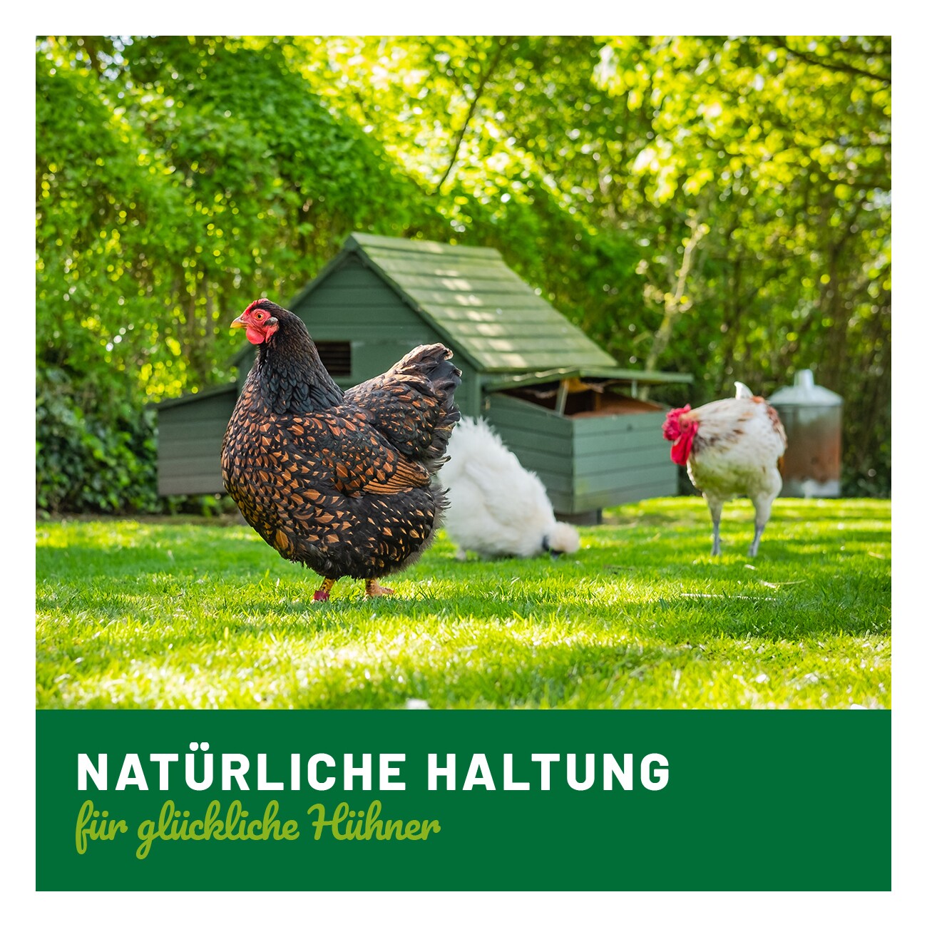 HÜHNER Land Parasiten Spot On 50ml