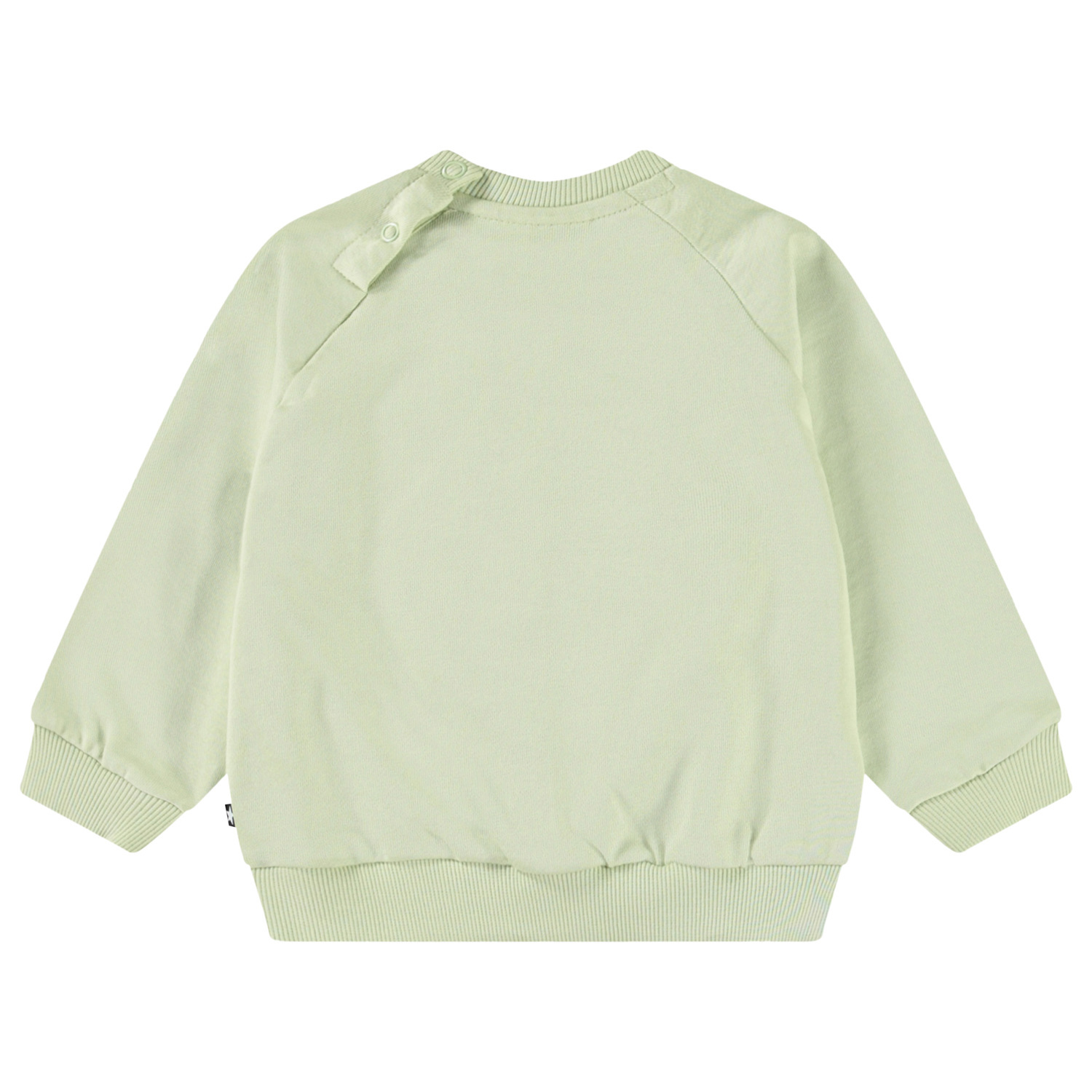 Disc - Misty Green