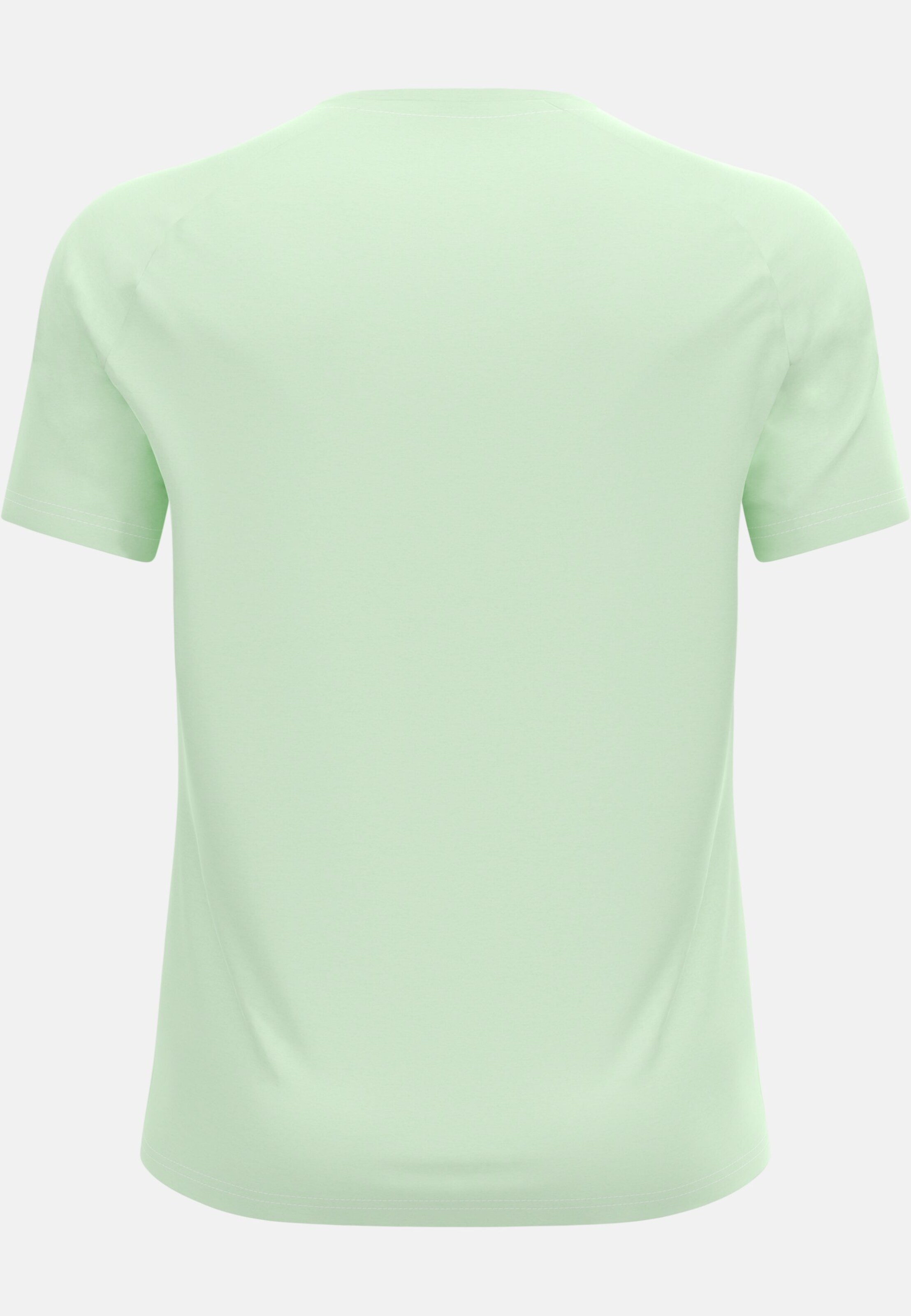 Essential 365 T-Shirt in ambrosia melange