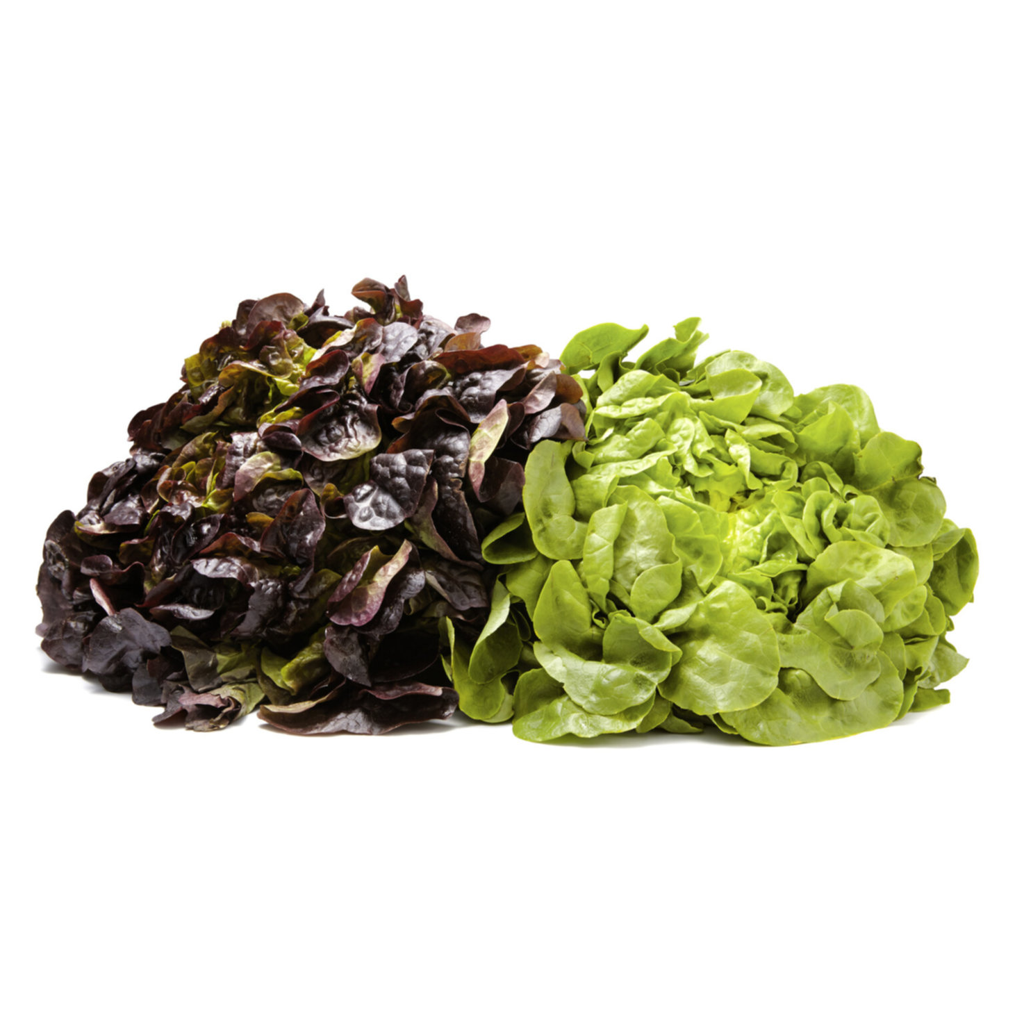 Naturaplan Bio Demeter Eichblattsalat grün & rot -
