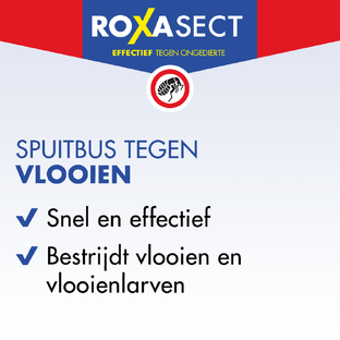 Roxasect Spuitbus Tegen Vlooien 300ML