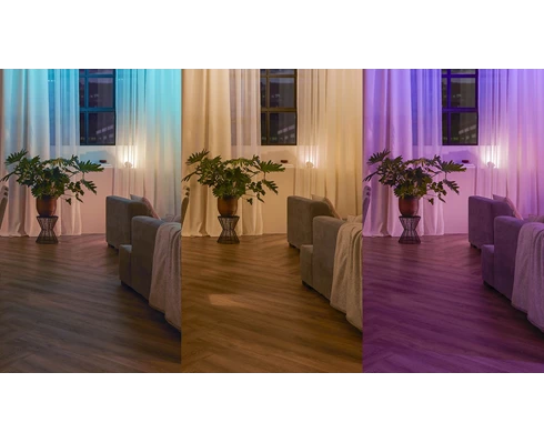 Philips Hue wall switch module