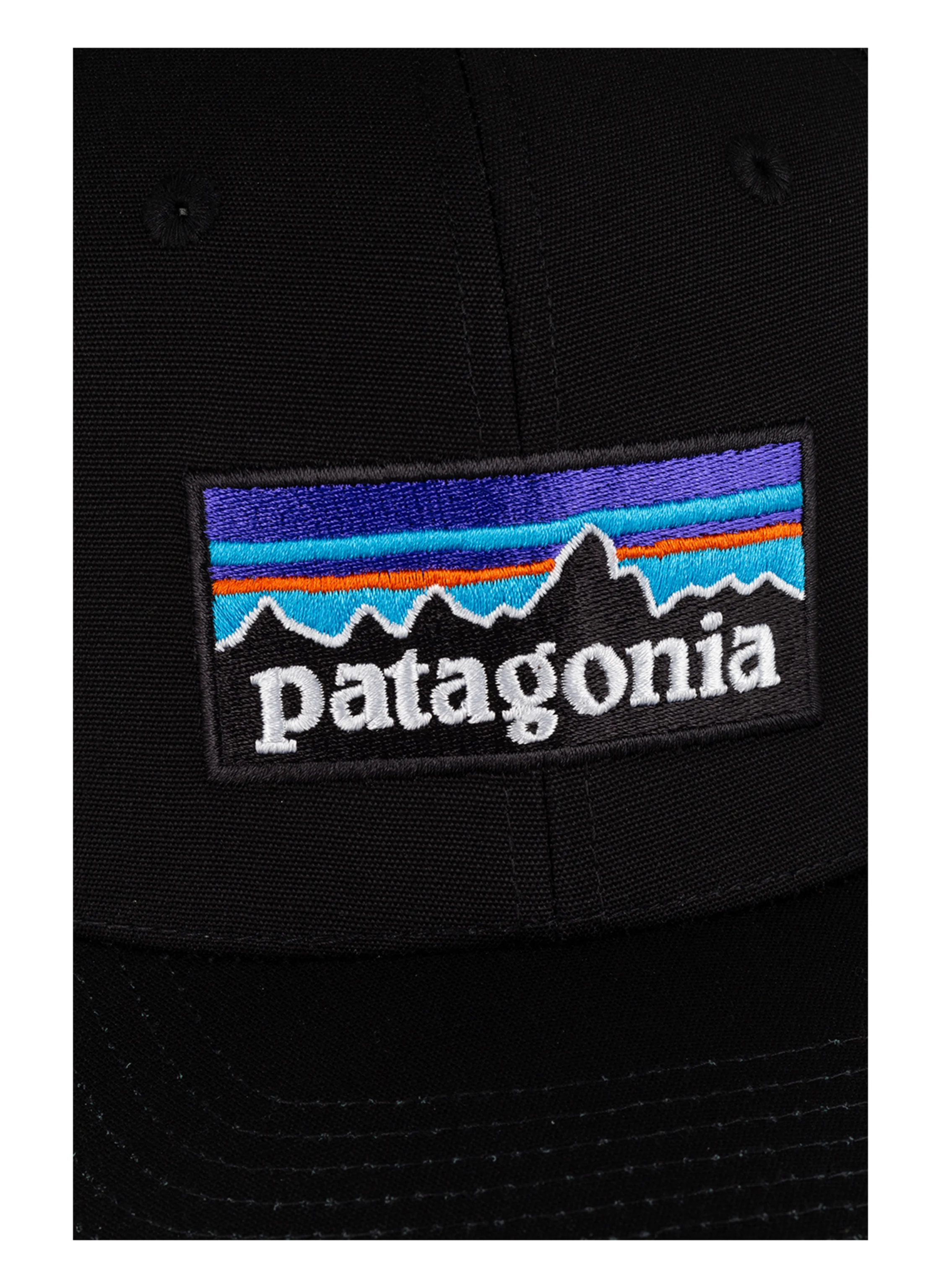 patagonia Cap P-6