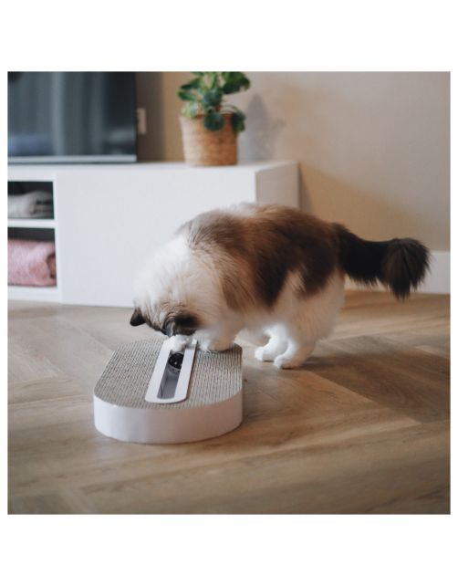 District 70 Krabspeelgoed Track - Kattenspeelgoed - 52x26x6 cm Wit