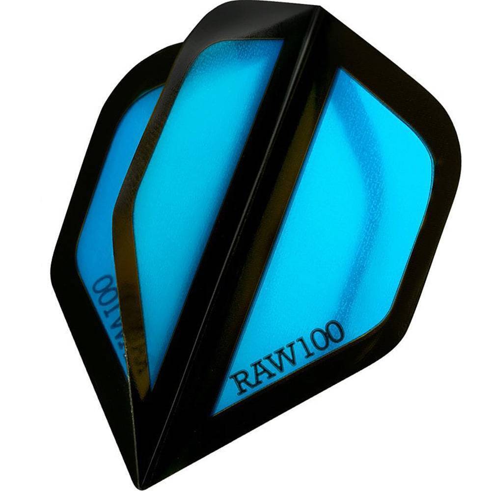 DartSturm - Raw 100 Window Dartflight - Standard