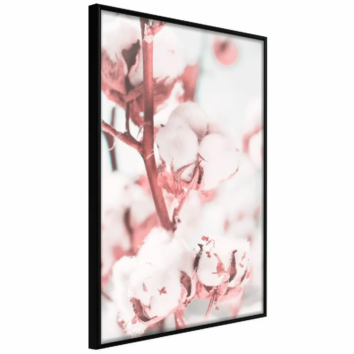Paris Prix Affiche Cotton Flowers - 40 x 60 cm - Noir