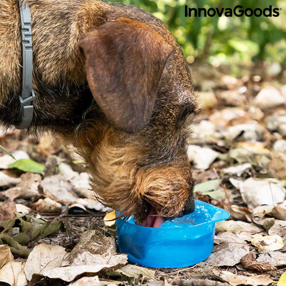 Bouteille avec distributeur d'eau et d'aliments pour animaux 2 en 1 pettap