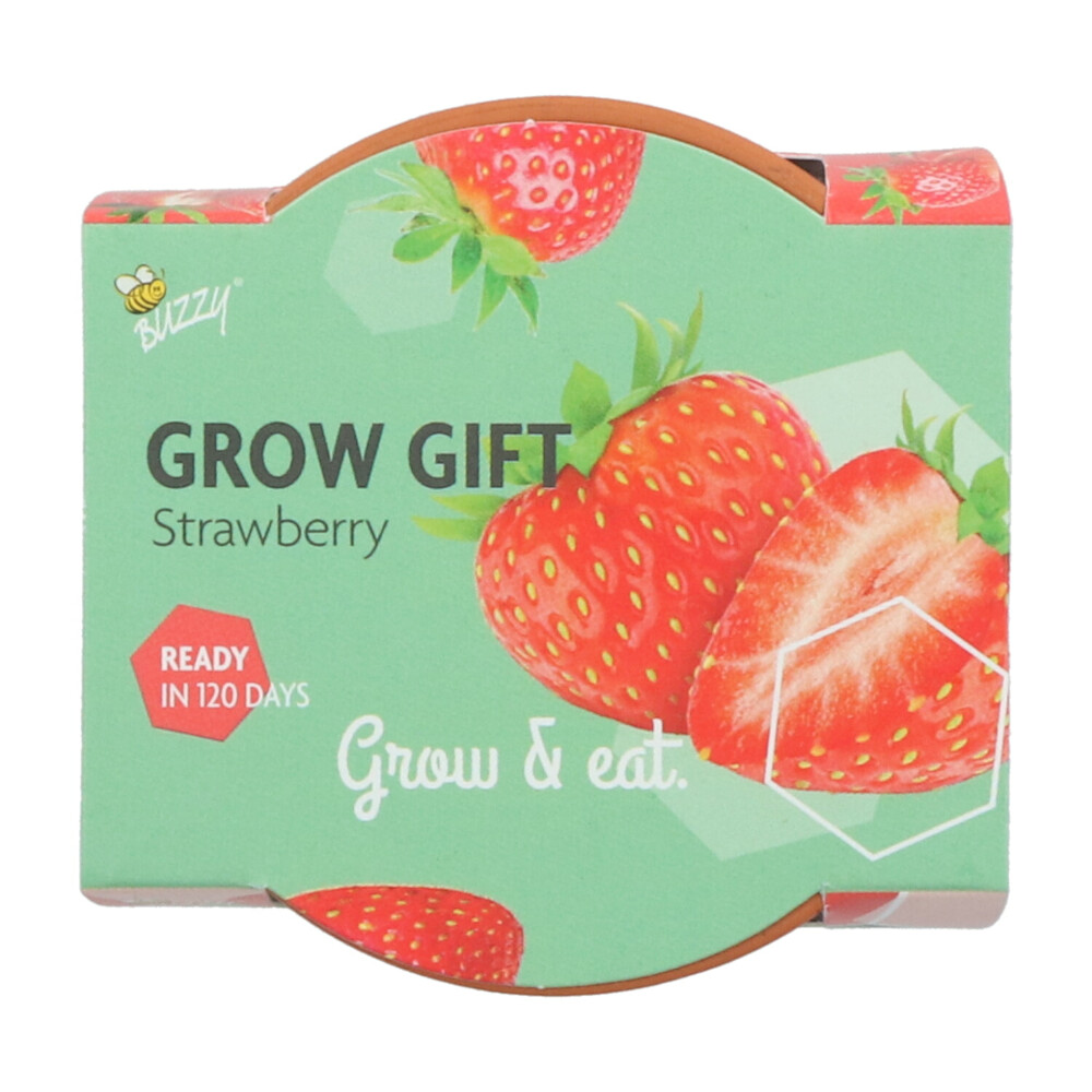 Buzzy Groeicadeautje Aardbei