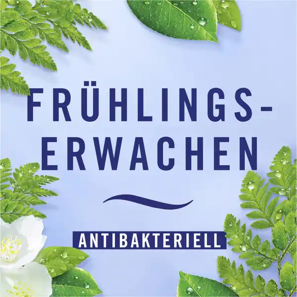 Auto Lufterfrischer CAR Frühlingserwachen
