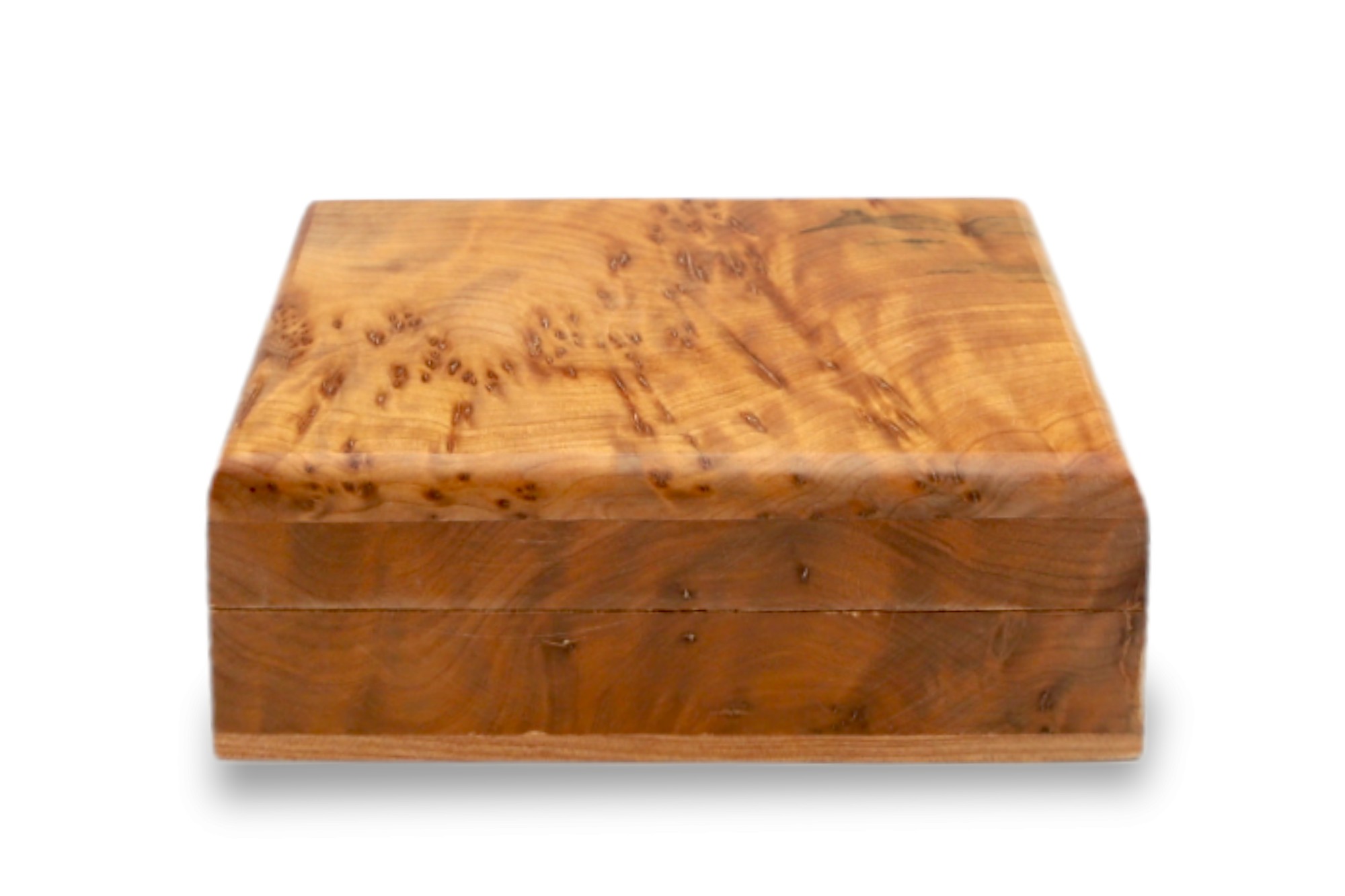 Thuja Box, B 12 cm, L 8,5 cm, H 5,5 cm von fischer's lagerhaus