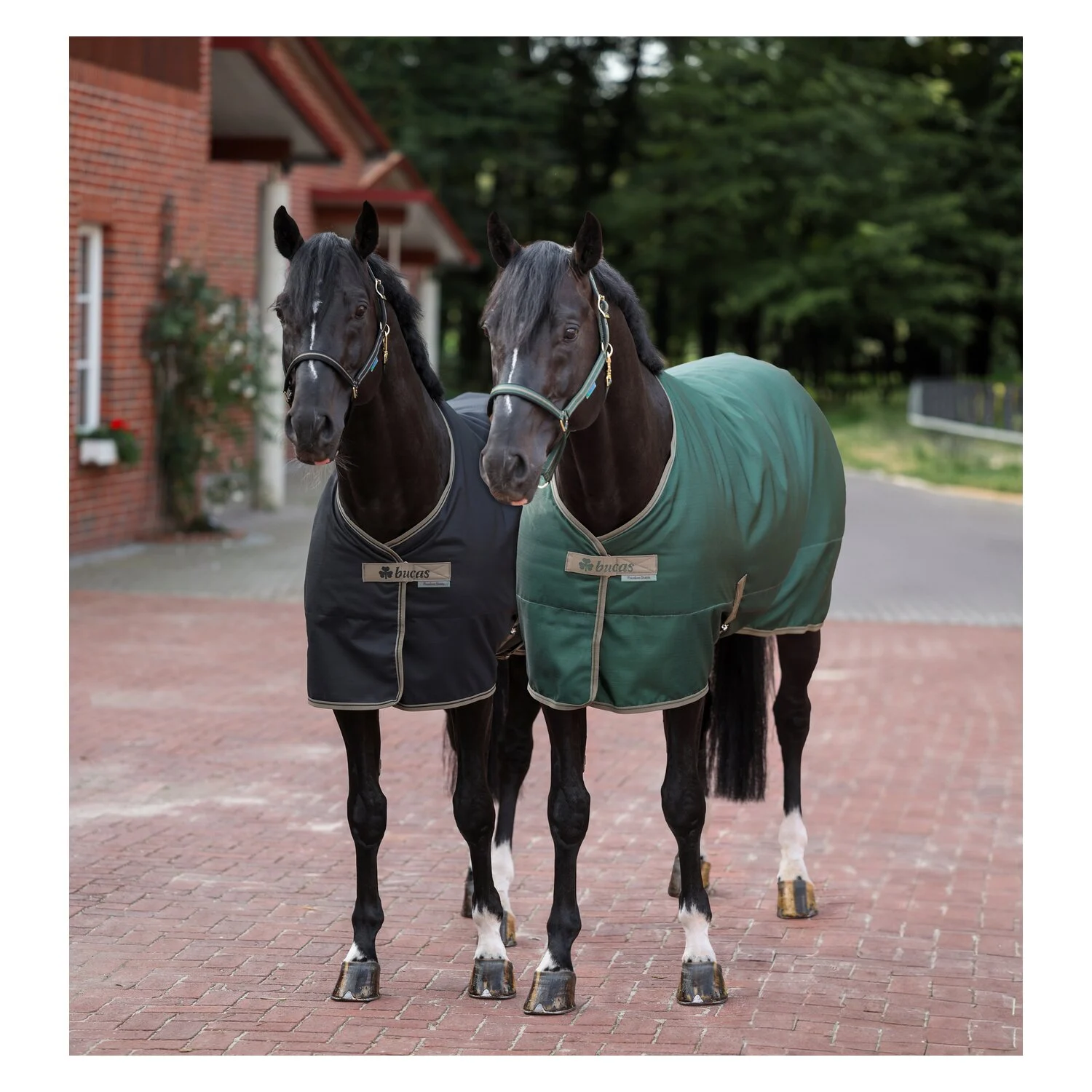 Bucas Stalldecke Freedom - schwarz/taupe
