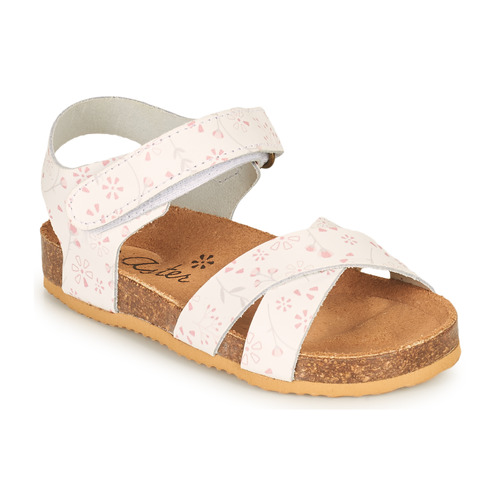 Aster - BAZIANG - Blanc Floral