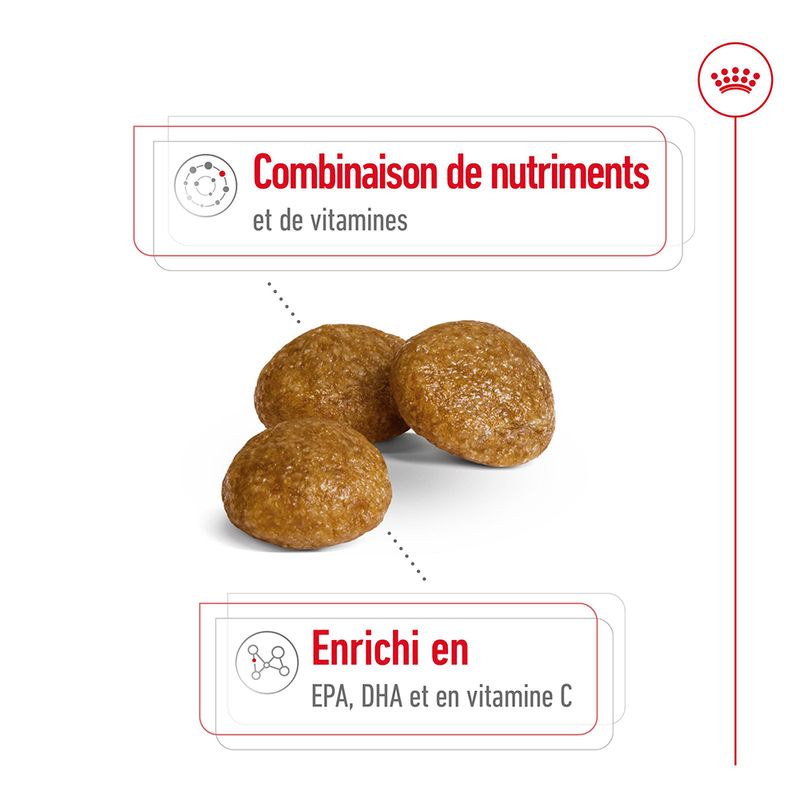 Royal Canin X-Small Adult 8+
