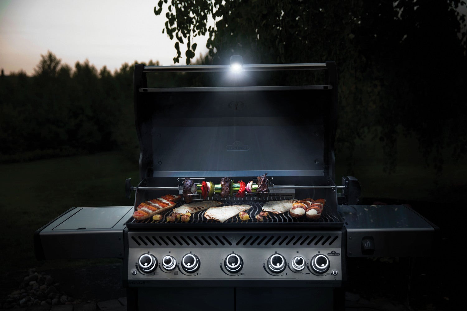 Napoleon barbecue handgreepverlichting Pro 6 x 9,5 x 19 cm