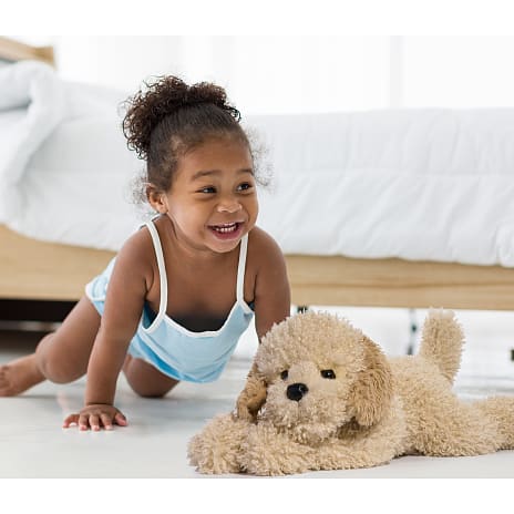 FAO Schwarz Cockapoo bamse 38 cm