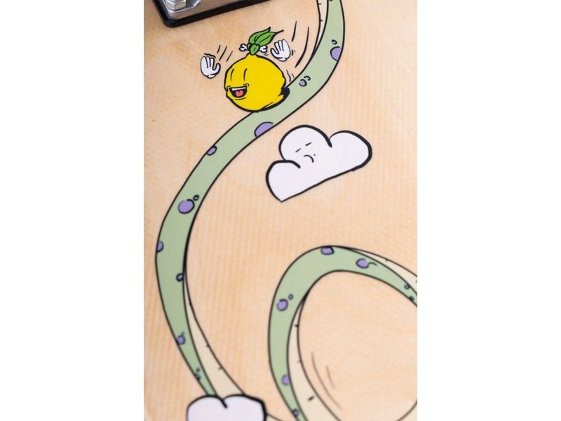 Loomi Boards Skateboard Corkgrip Brachi 24.75