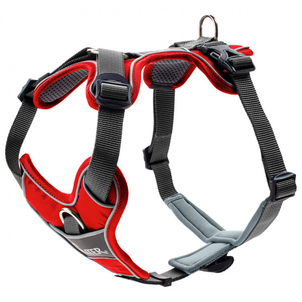 Hunter - Harness Divo - Harnais pour chien