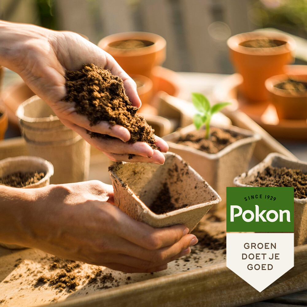 Pokon Stekpoeder 25 gr