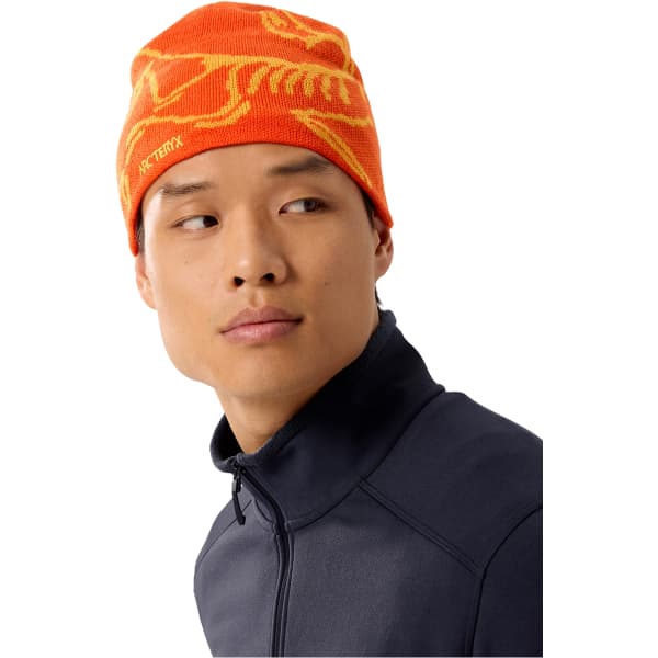 Bonnet Bandeau ski de randonnée ARC'TERYX BIRD HEAD TOQUE SOLARIS / EDZIZA