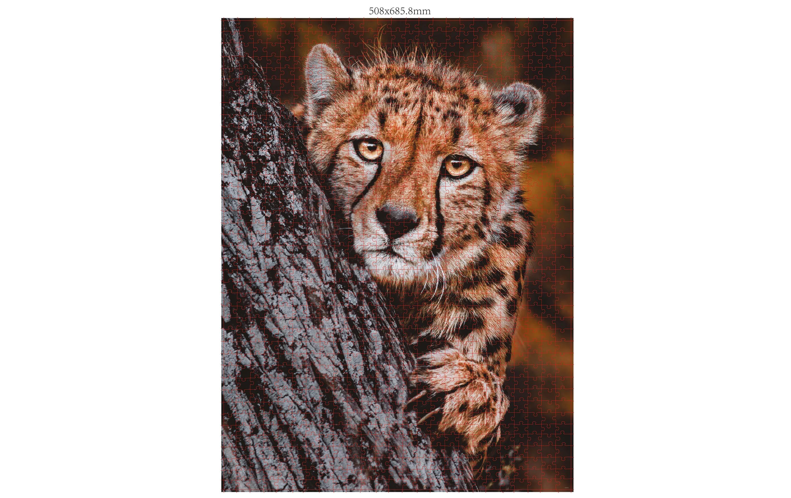 Puzzle Wildtier-FamilienPuzzle-Set für Erwachsene und Kinder