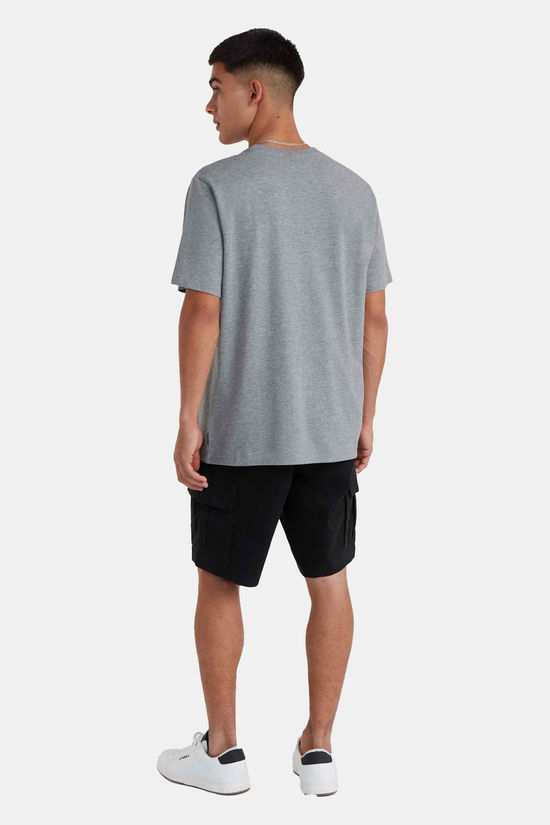 O'Neill O'Neill Essential Cargo Korte Broek