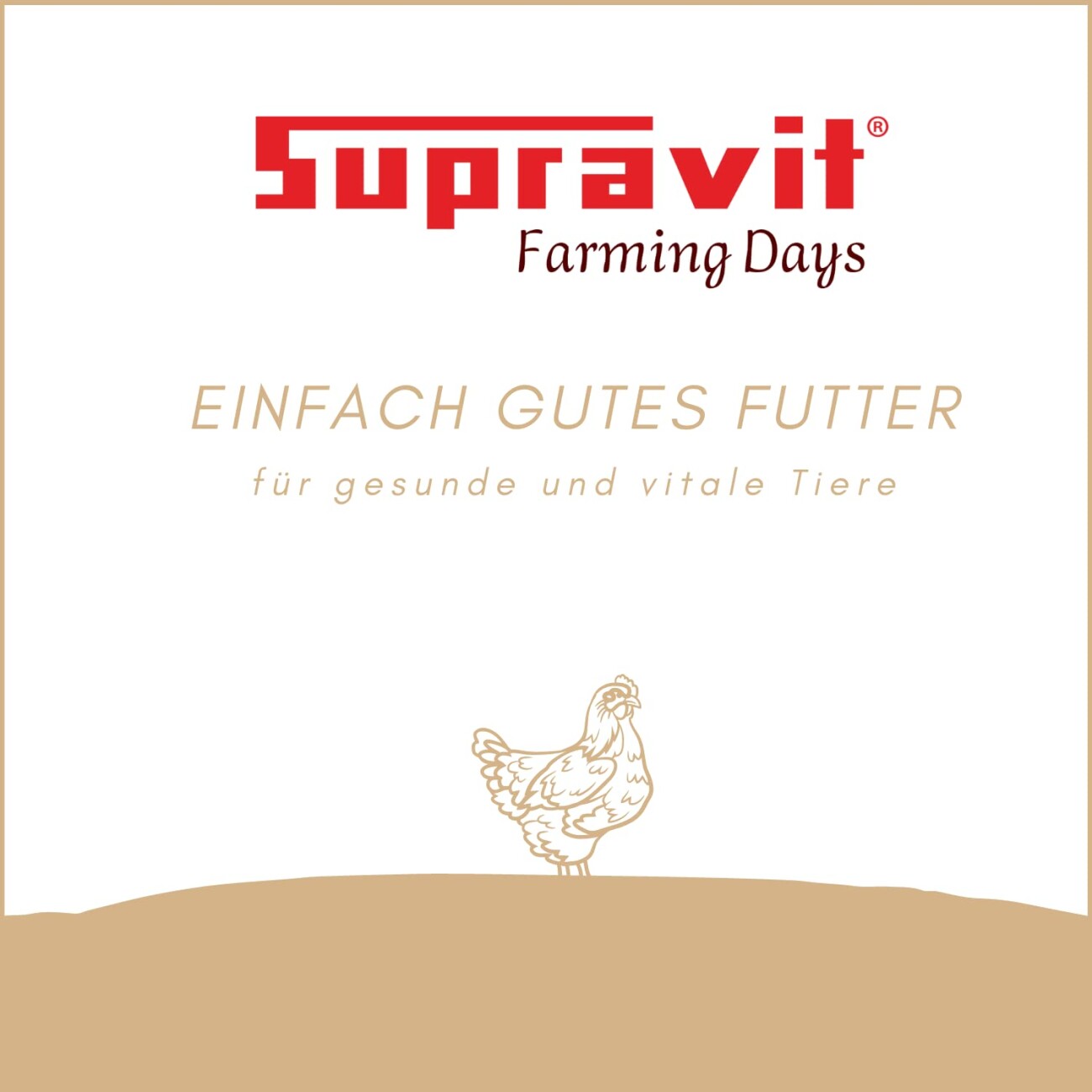 Supravit Kalkgrit für Hühner I Futterkalk Ergänzungsfutter für Hühner, Wachteln, Enten & anderes Legegeflügel I hoher Anteil an Calcium für Starke Eierschalen und eine gesunde Verdauung