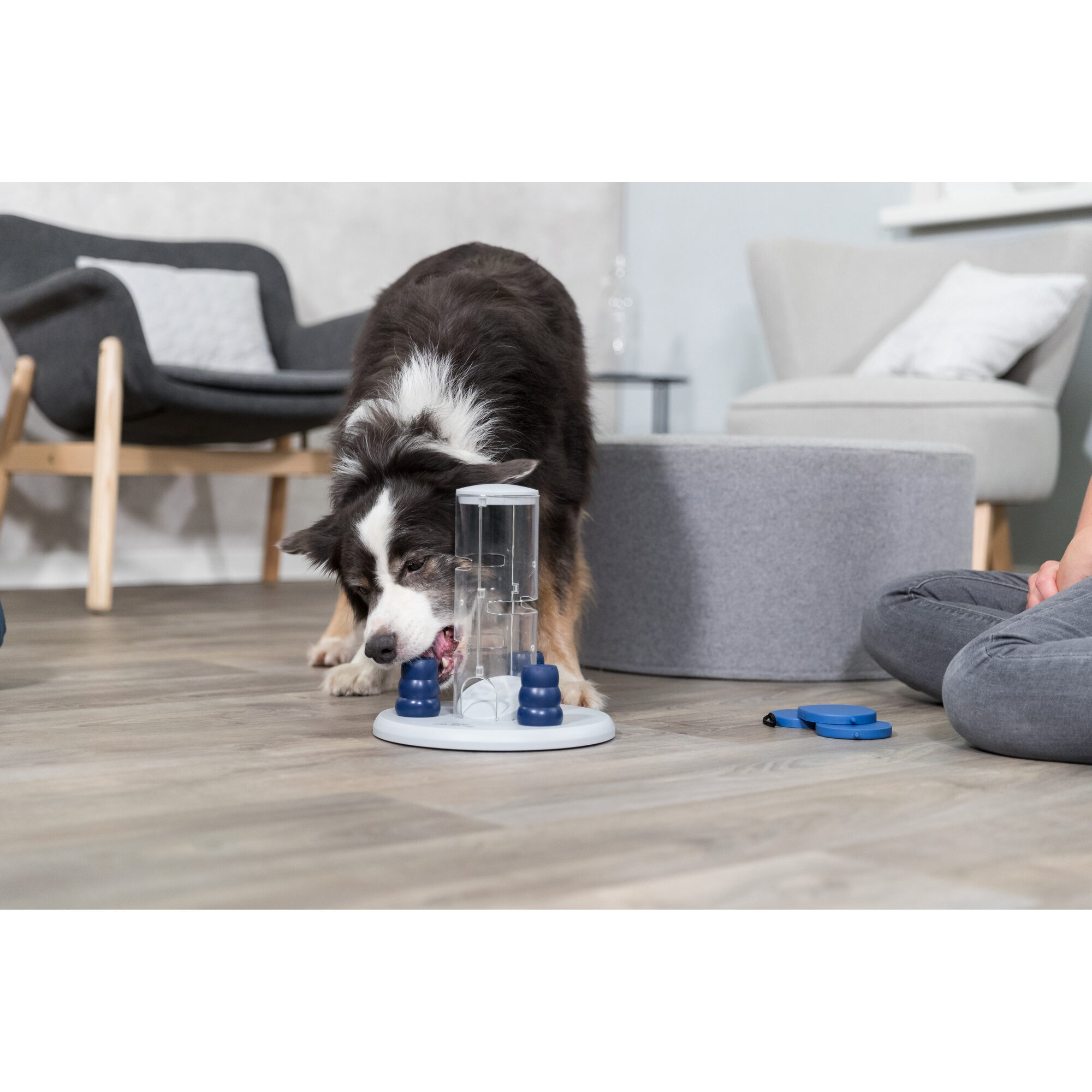 Trixie Dog Activity Gambling Tower