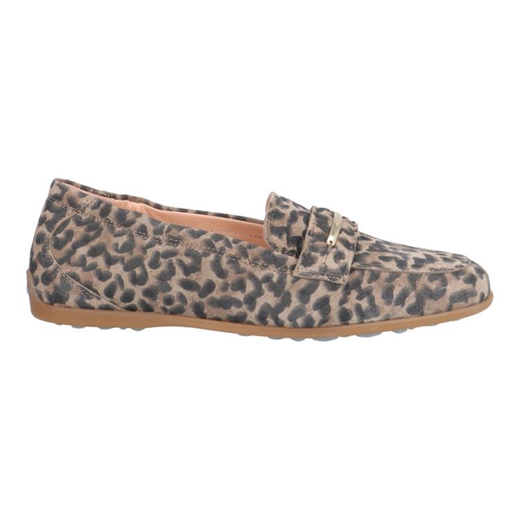 Floris van Bommel SFW-40039 taupe