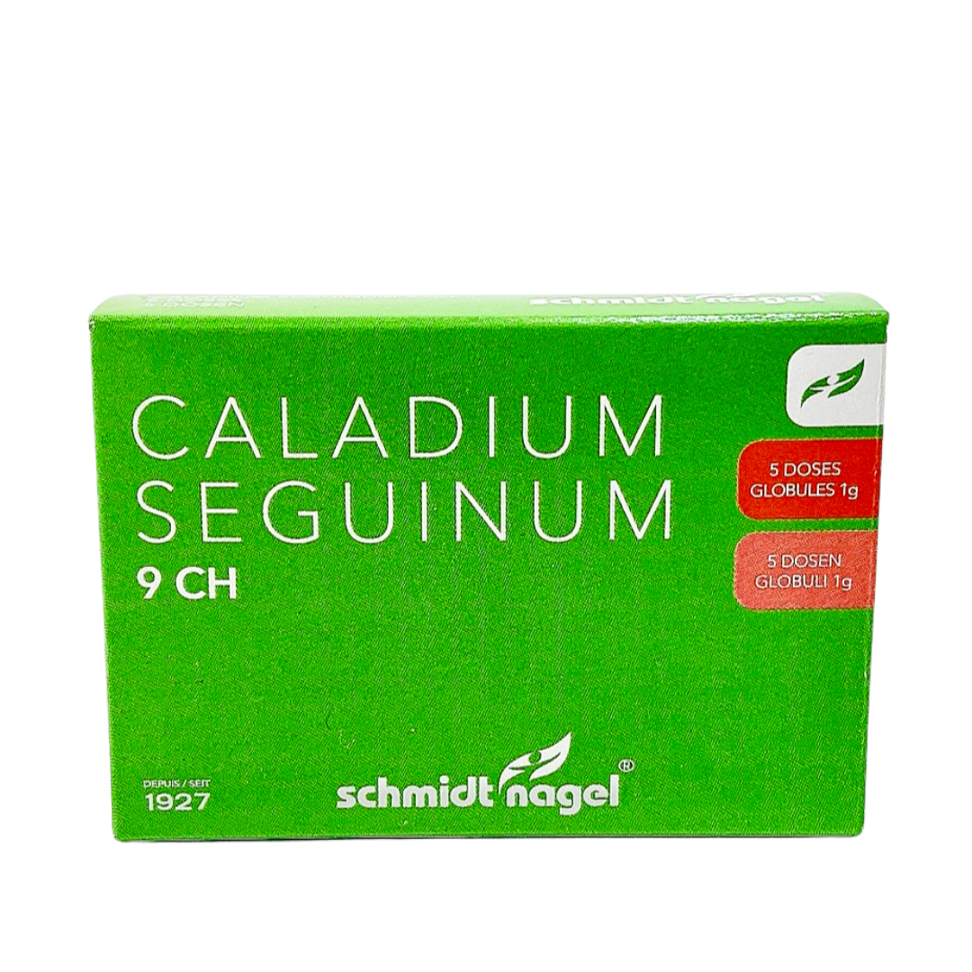 SCHMIDT-NAGEL Caladium seguinum Glob 9 CH 1 g