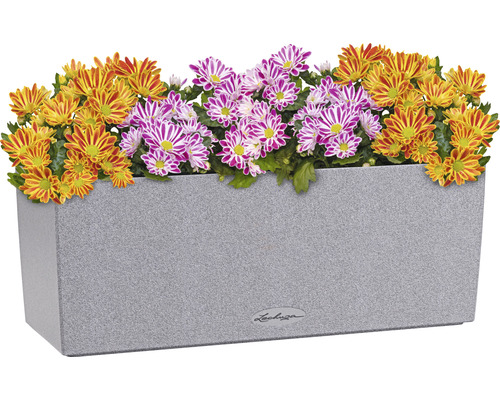Lechuza Balconera Stone kunststof bloembak 50x19x19 cm grijs incl. zelfbewateringssysteem en plantinzet