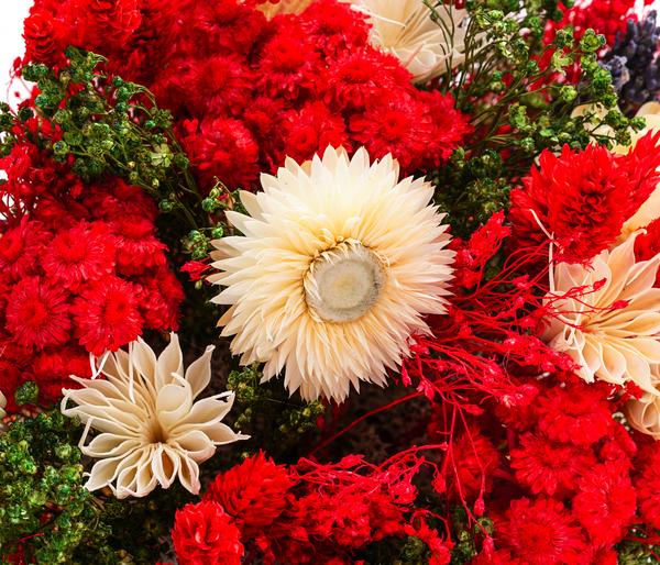 Trockenblumenbouquet Fantasy, rot