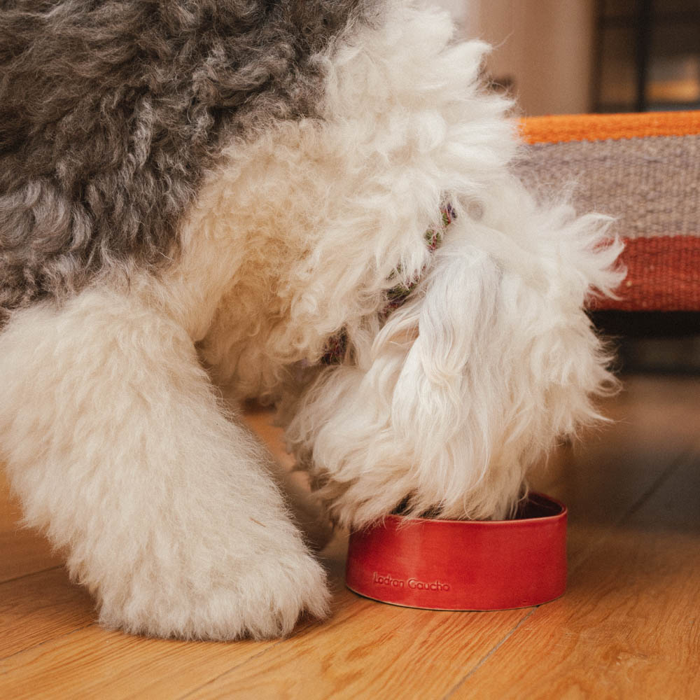 RED BOWL - M
