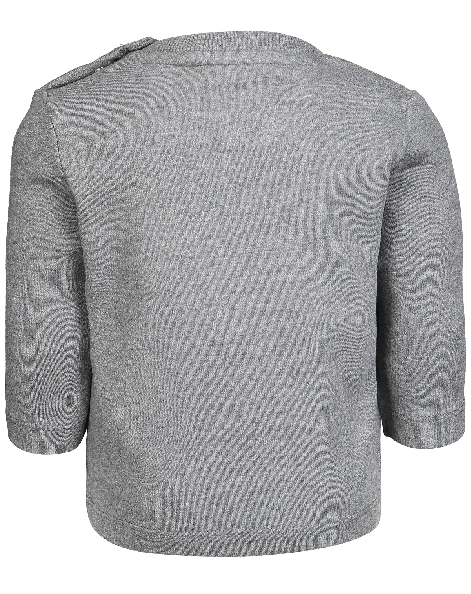 Langarmshirt POLAR BEAR in grau