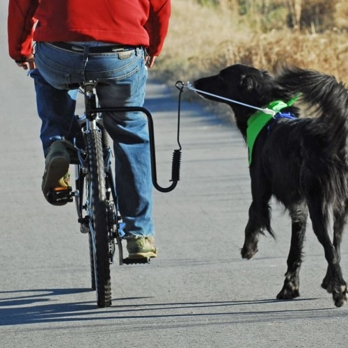 coleira preta para bicicleta