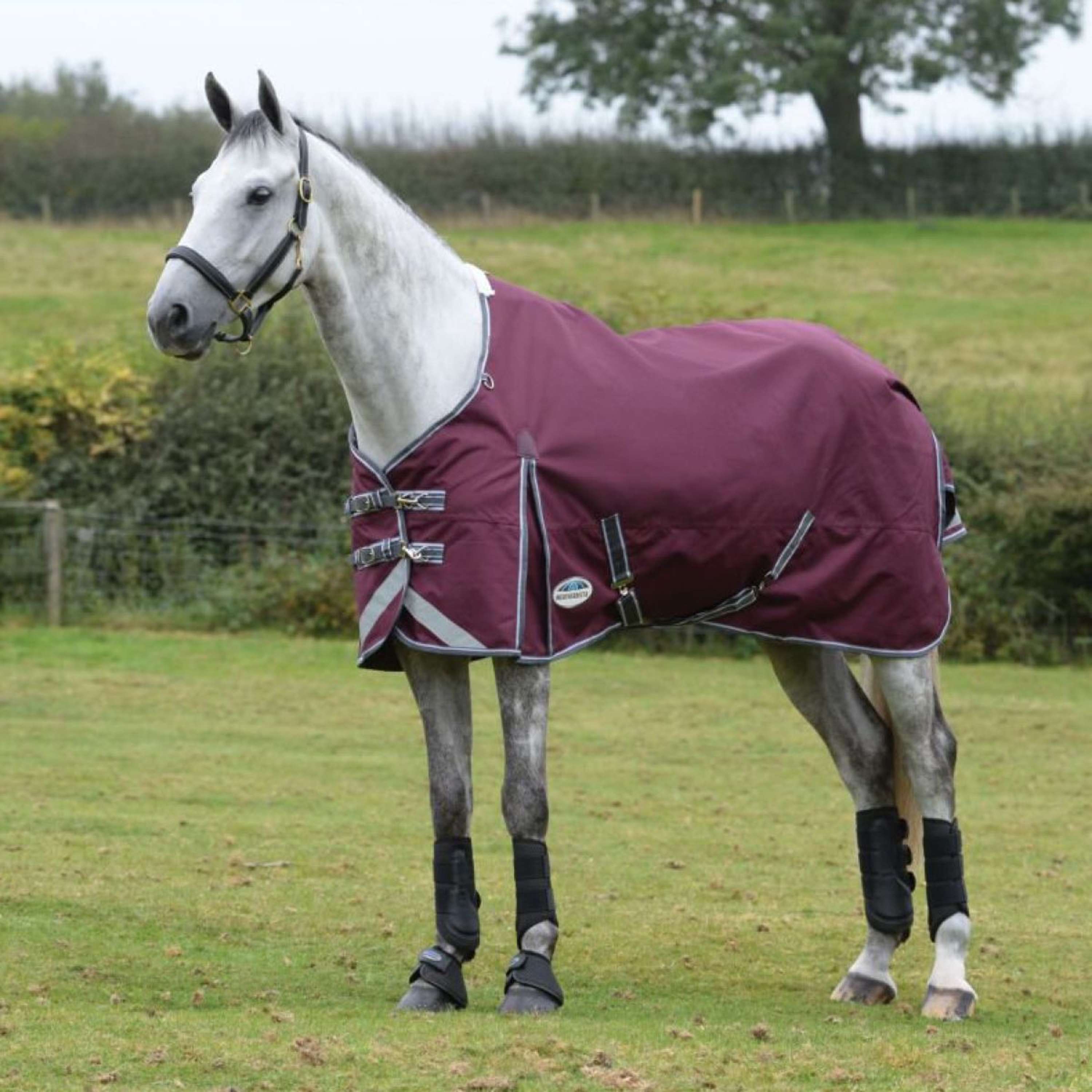 WeatherBeeta Regendeken ComFiTec Plus Dynamic II Standard Neck Lite 0g