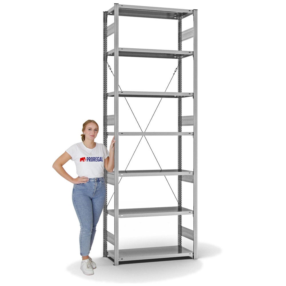 PROREGAL Stellingkast, insteeksysteem, T-profiel, extra zwaar, basiskast, hxbxd 300 x 100 x 40 cm, 7 legborden, draagvermogen 315 kg, toegang aan één zijde, gegalvaniseerd