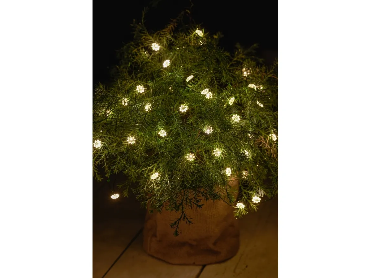 Sirius Silke Lyskæde Mini Blomster - 40 LED - Klar/Grøn