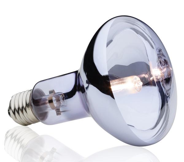 Exo Terra® Halogen Basking Spot